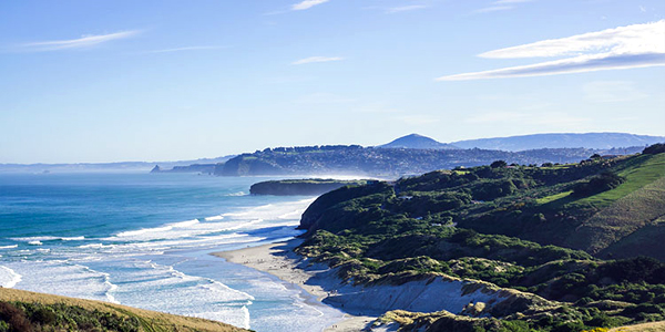 Dunedin